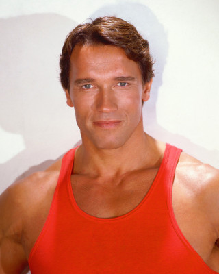 photo 17 in Arnold Schwarzenegger gallery [id561455] 2012-12-17 00:00:00