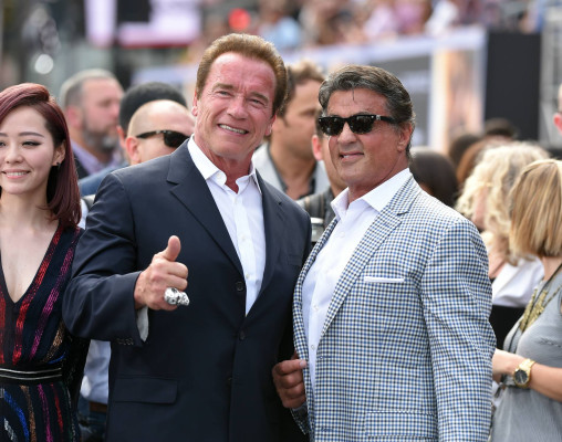 photo 10 in Schwarzenegger gallery [id782937] 2015-07-09 00:00:00