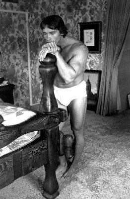Arnold Schwarzenegger pic #281405