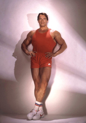 photo 19 in Arnold Schwarzenegger gallery [id561452] 2012-12-17 00:00:00