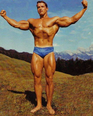 photo 27 in Schwarzenegger gallery [id282460] 2010-08-30 00:00:00