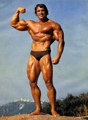 photo 26 in Arnold Schwarzenegger gallery [id282469] 2010-08-30 00:00:00