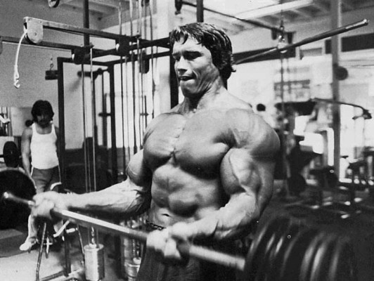 Arnold Schwarzenegger pic #286866