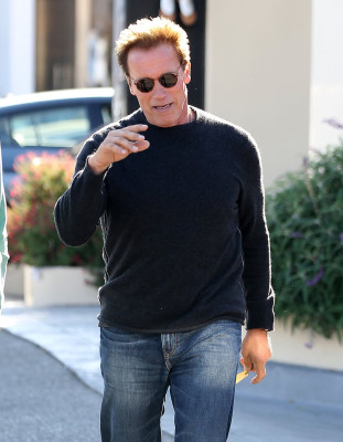 photo 25 in Arnold Schwarzenegger gallery [id515641] 2012-07-26 00:00:00