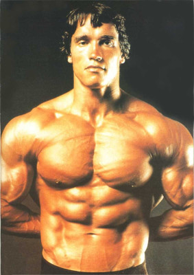 photo 7 in Schwarzenegger gallery [id835351] 2016-02-22 00:00:00