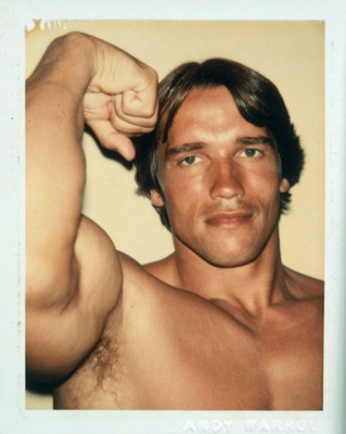 photo 8 in Schwarzenegger gallery [id359905] 2011-03-23 00:00:00
