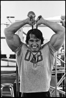 photo 29 in Schwarzenegger gallery [id78932] -0001-11-30 00:00:00