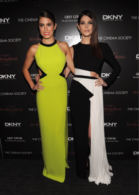 Ashley Greene pic #421838
