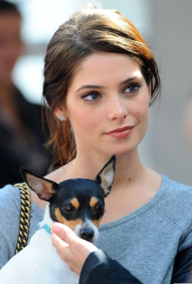 Ashley Greene pic #413432