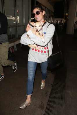 Ashley Greene pic #1040106
