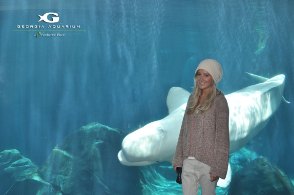 Ashley Tisdale pic #549688