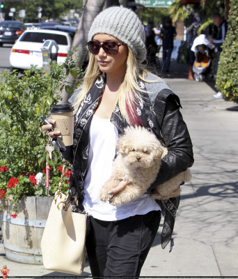 Ashley Tisdale pic #460623