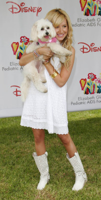 Ashley Tisdale pic #138096