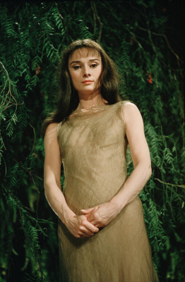 Audrey Hepburn pic #188014