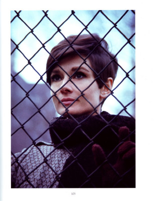 Audrey Hepburn pic #384817