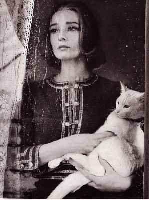 Audrey Hepburn pic #352006