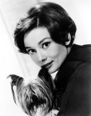 Audrey Hepburn pic #247626