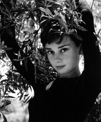 Audrey Hepburn pic #269331