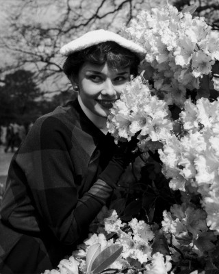 Audrey Hepburn pic #75439