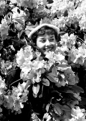 Audrey Hepburn pic #75465