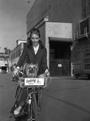 Audrey Hepburn pic #75457
