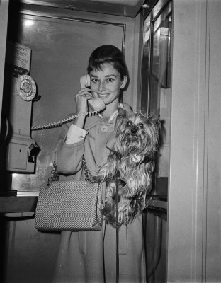 Audrey Hepburn pic #75425