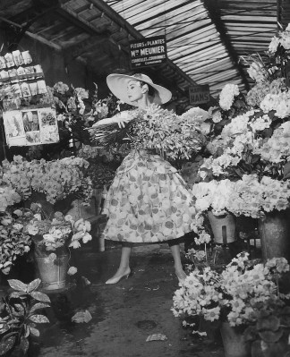 Audrey Hepburn pic #484395
