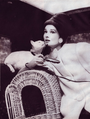 Audrey Hepburn pic #78859