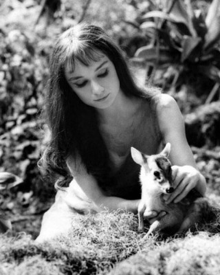 Audrey Hepburn pic #1157188