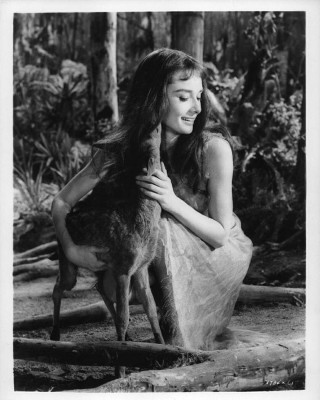 Audrey Hepburn pic #1157198