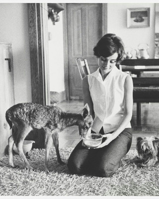 Audrey Hepburn pic #1157207