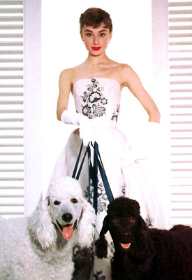 Audrey Hepburn pic #186666