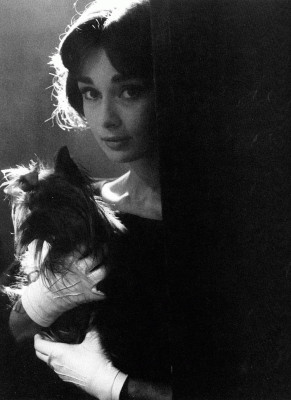 Audrey Hepburn pic #186653
