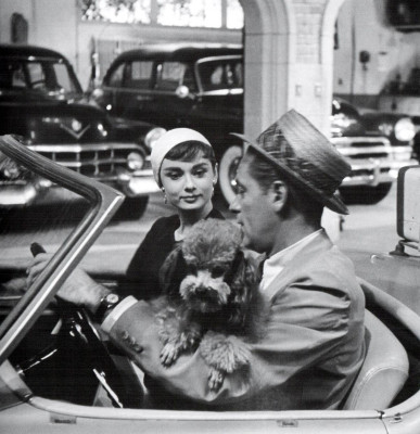 Audrey Hepburn pic #485907