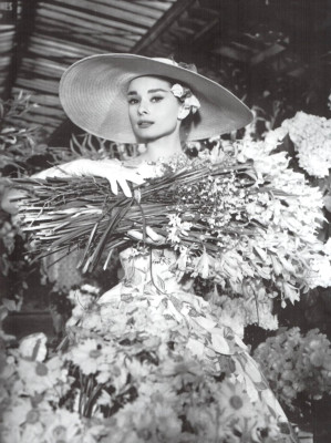 Audrey Hepburn pic #484394