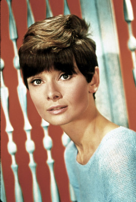Audrey Hepburn pic #468364