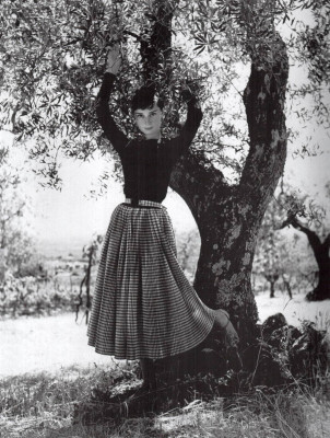 Audrey Hepburn pic #481201