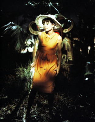Audrey Hepburn pic #385493