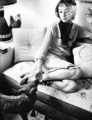 Audrey Hepburn pic #460025