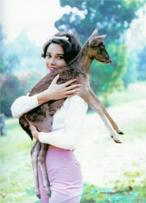Audrey Hepburn pic #455616