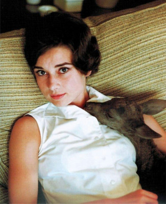 Audrey Hepburn pic #455617