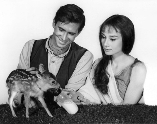 Audrey Hepburn pic #455615