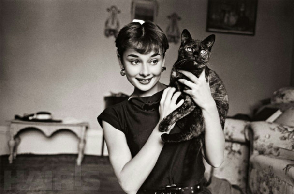 Audrey Hepburn pic #456243