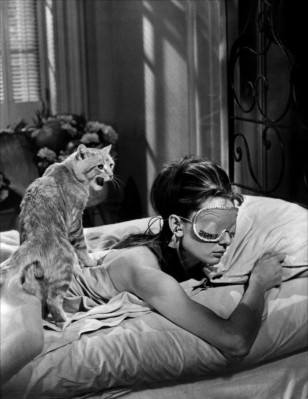 Audrey Hepburn pic #462652