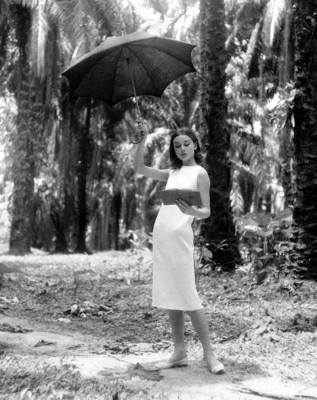 Audrey Hepburn pic #462654
