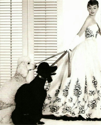 Audrey Hepburn pic #378850