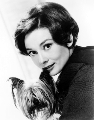 Audrey Hepburn pic #477779