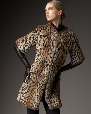 Aurelia Gliwski pic #229837