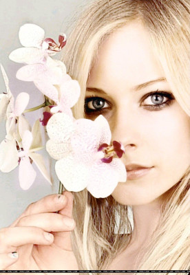Avril Lavigne pic #58161