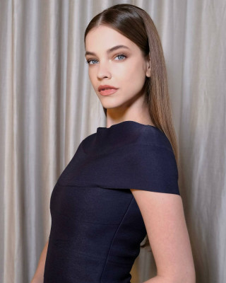 photo 7 in Palvin gallery [id1345995] 2024-03-16 00:00:00